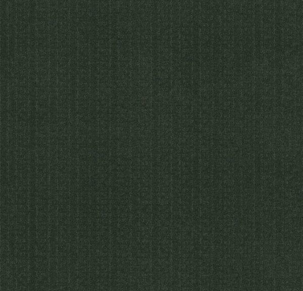 Anderson Tuftex Carpet Vignette Deep Pine 00345_ZZ330