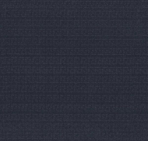 Anderson Tuftex Carpet Vignette Indigo 00443_ZZ330