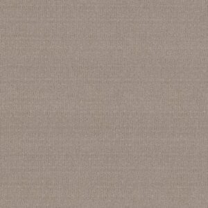 Anderson Tuftex Carpet Vignette Greige 00511_ZZ330