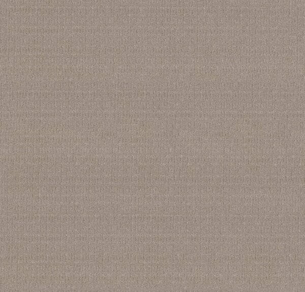 Anderson Tuftex Carpet Vignette Greige 00511_ZZ330