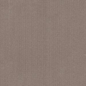 Anderson Tuftex Carpet Vignette Taupestone 00523_ZZ330
