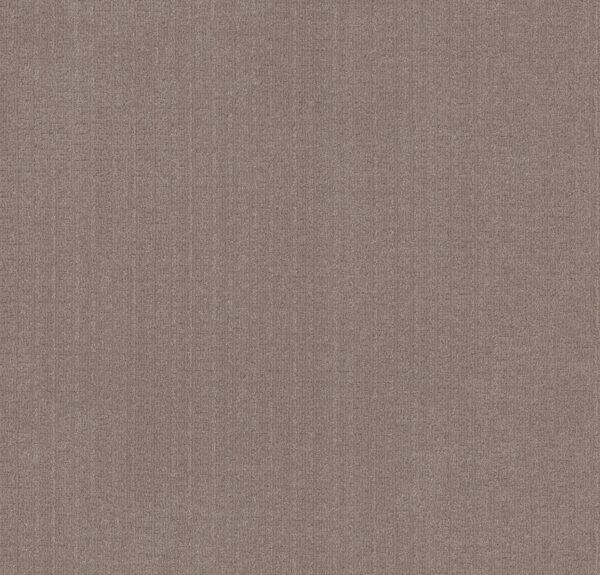 Anderson Tuftex Carpet Vignette Taupestone 00523_ZZ330