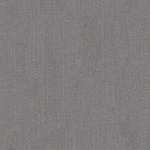 Anderson Tuftex Carpet Vignette Supernova 00527_ZZ330