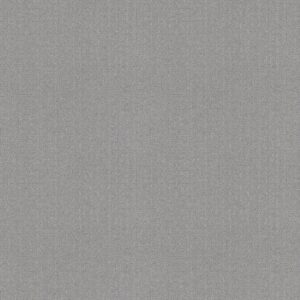 Anderson Tuftex Carpet Vignette Light Year 00541_ZZ330