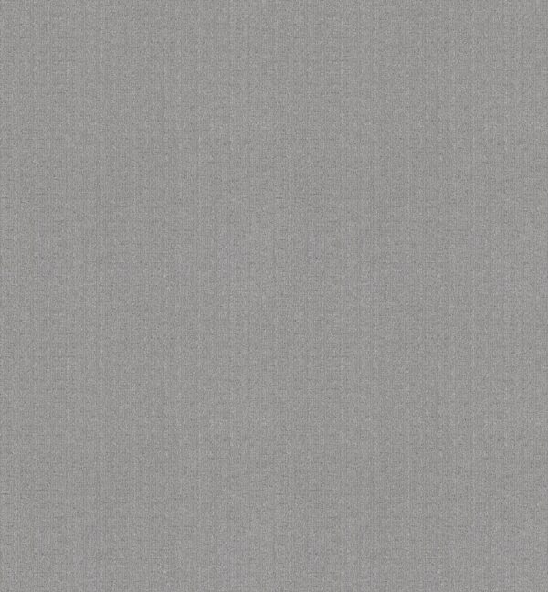 Anderson Tuftex Carpet Vignette Light Year 00541_ZZ330