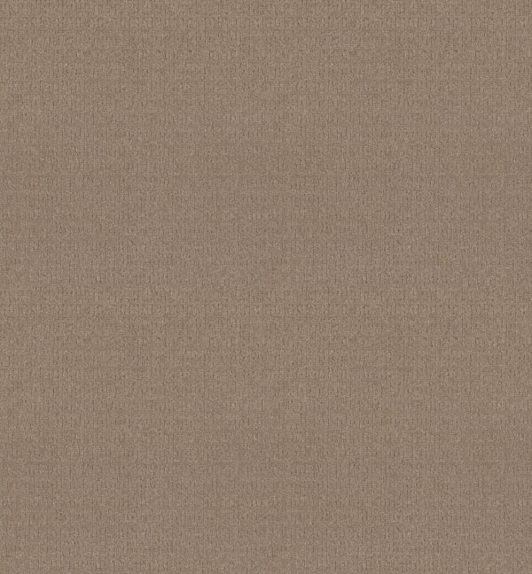 Anderson Tuftex Carpet Vignette Oxford Tan 00720_ZZ330