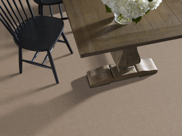 Anderson Tuftex Carpet Vignette Oxford Tan 00720_ZZ330 - Image 2
