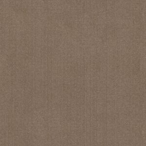 Anderson Tuftex Carpet Vignette Artisan Craft 00722_ZZ330