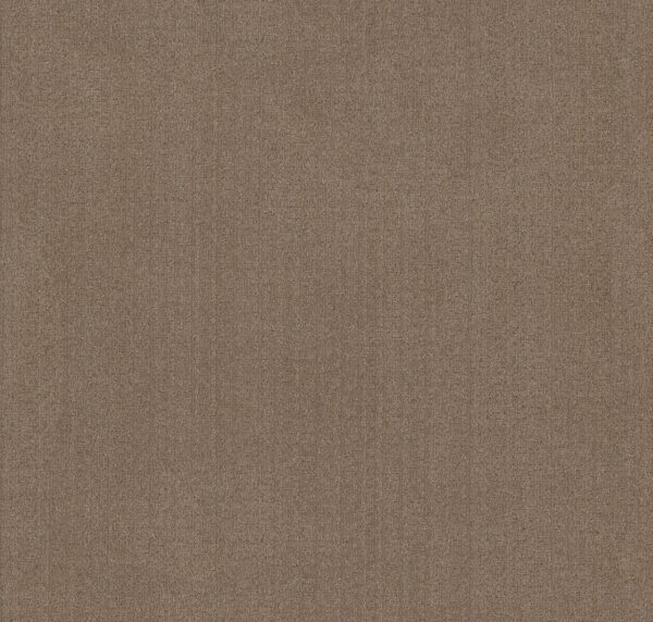 Anderson Tuftex Carpet Vignette Artisan Craft 00722_ZZ330