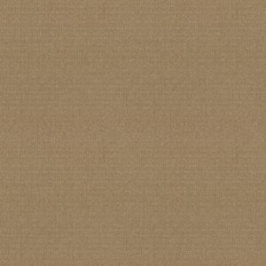Anderson Tuftex Carpet Vignette Honeycomb 00740_ZZ330