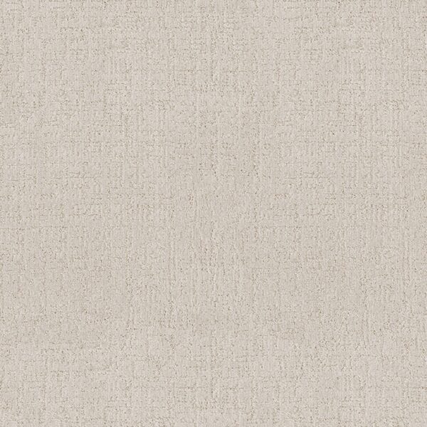 Anderson Tuftex Carpet Indulgent Crisp Linen 00100_ZZ331