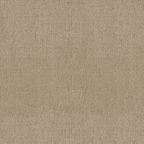 Anderson Tuftex Carpet Indulgent Riviera Beach 00220_ZZ331