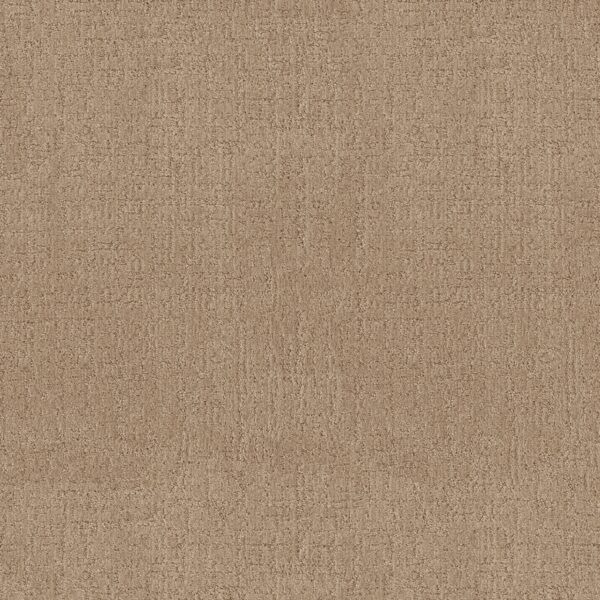 Anderson Tuftex Carpet Indulgent Celebration 00221_ZZ331