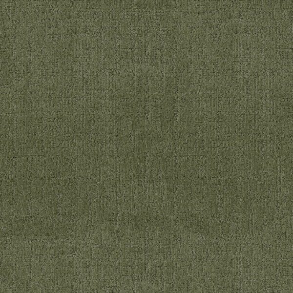Anderson Tuftex Carpet Indulgent Fern 00344_ZZ331
