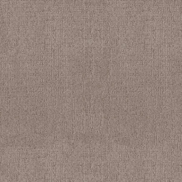 Anderson Tuftex Carpet Indulgent Taupestone 00523_ZZ331