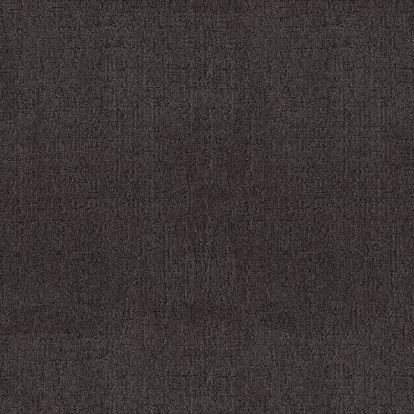 Anderson Tuftex Carpet Indulgent Legendary 00529_ZZ331