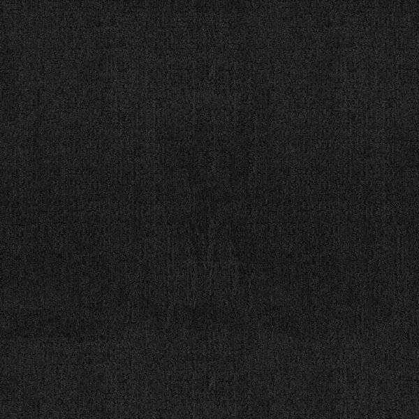 Anderson Tuftex Carpet Indulgent Vip Lounge 00542_ZZ331