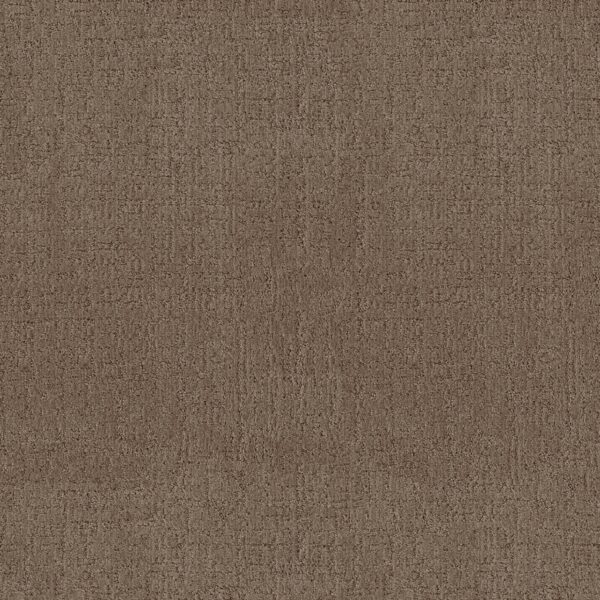 Anderson Tuftex Carpet Indulgent Artisan Craft 00722_ZZ331