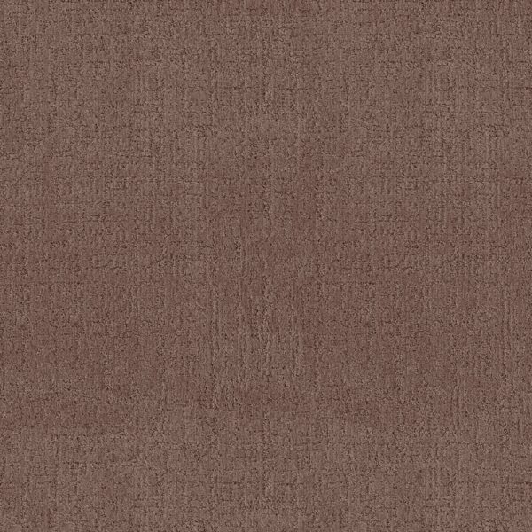 Anderson Tuftex Carpet Indulgent Desert Haze 00725_ZZ331
