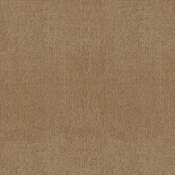 Anderson Tuftex Carpet Indulgent Honeycomb 00740_ZZ331
