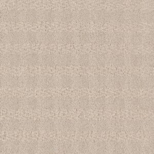Anderson Tuftex Carpet Imagination Bliss 00111_ZZ336