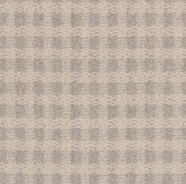 Anderson Tuftex Carpet Imagination Enchanted 00151_ZZ336
