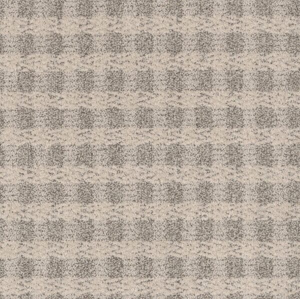 Anderson Tuftex Carpet Imagination Posh 00152_ZZ336