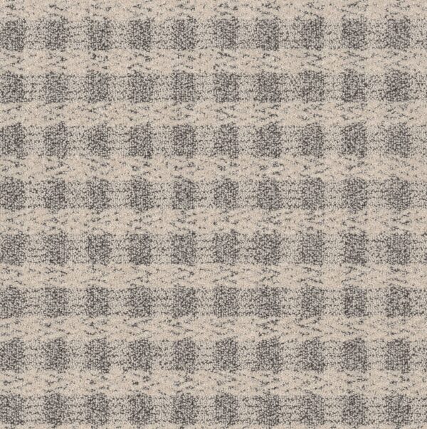 Anderson Tuftex Carpet Imagination Penthouse 00154_ZZ336