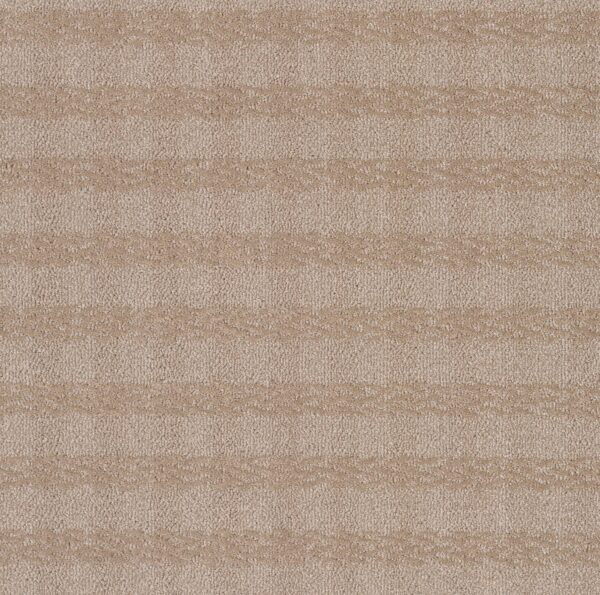 Anderson Tuftex Carpet Imagination Destination 00173_ZZ336
