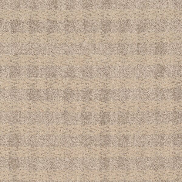 Anderson Tuftex Carpet Imagination Paris Cafe 00212_ZZ336