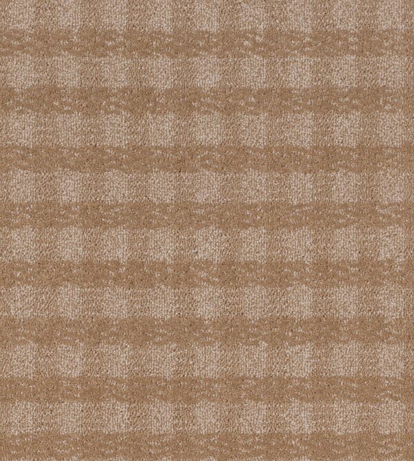Anderson Tuftex Carpet Imagination Glamorous 00273_ZZ336