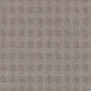 Anderson Tuftex Carpet Imagination Cape Cod 00574_ZZ336