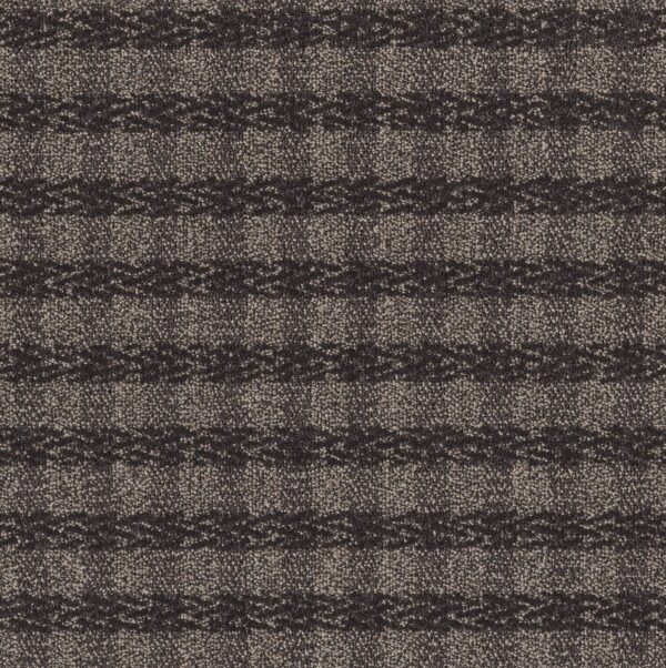 Anderson Tuftex Carpet Imagination Luxury Suite 00579_ZZ336
