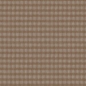 Anderson Tuftex Carpet Imagination Bungalow 00715_ZZ336