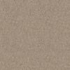 Anderson Tuftex Carpet Illumination Silhouette 00123_ZZ337
