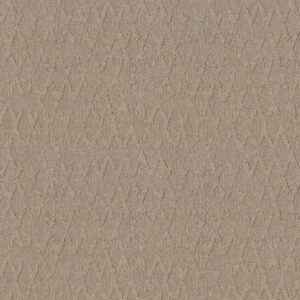 Anderson Tuftex Carpet Illumination Silhouette 00123_ZZ337