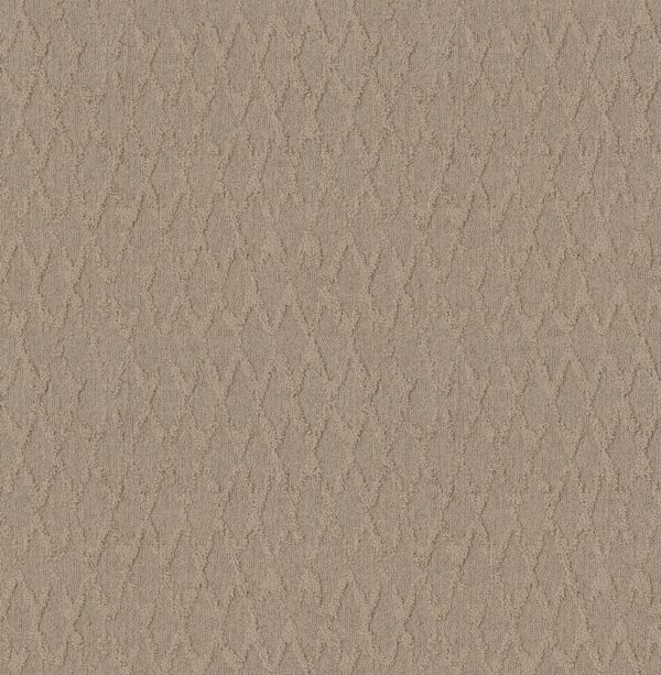 Anderson Tuftex Carpet Illumination Silhouette 00123_ZZ337