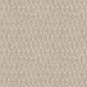 Anderson Tuftex Carpet Illumination Veranda 00171_ZZ337
