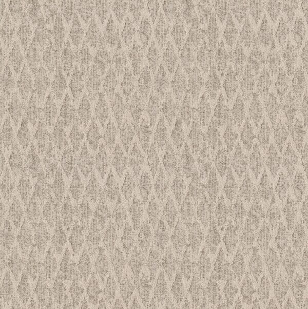 Anderson Tuftex Carpet Illumination Veranda 00171_ZZ337