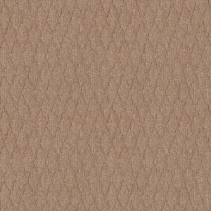 Anderson Tuftex Carpet Illumination Glamorous 00273_ZZ337
