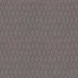 Anderson Tuftex Carpet Illumination Platinum 00544_ZZ337