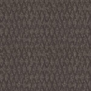 Anderson Tuftex Carpet Illumination Onyx 00559_ZZ337