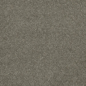 Dreamweaver Carpet Malibu II Cinnamon Tea Carpet 3750_528