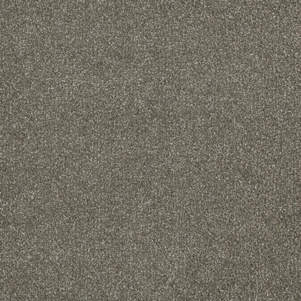 Dreamweaver Carpet Malibu II Cinnamon Tea Carpet 3750_528
