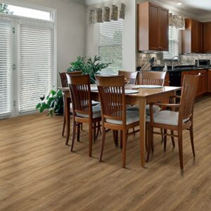 Create Flooring Simply Rigid/Ap Cascade LVP