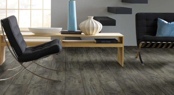 Shaw Floorte Pantheon HD Plus 7" Temporale - Image 2