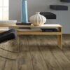 Shaw Floorte Pantheon HD Plus 7" Fiano - Image 2