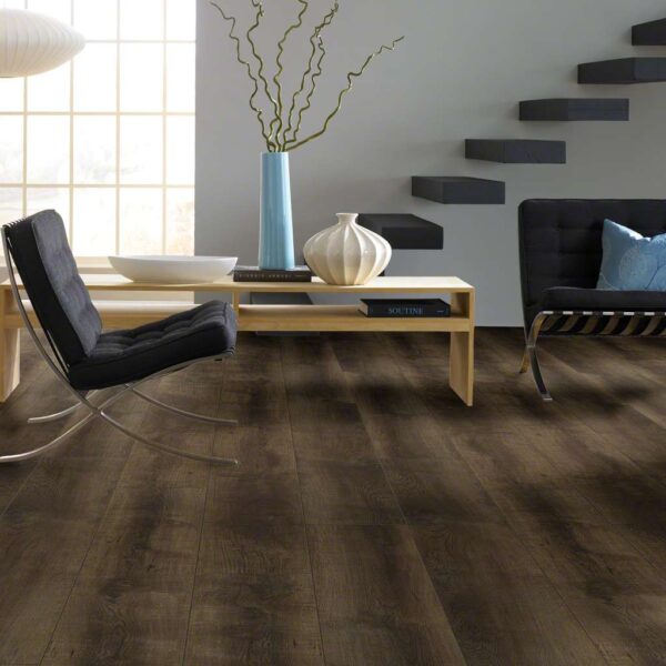 Shaw Floorte Titan HD Plus 9" x 72" Pandora Oak - Image 2