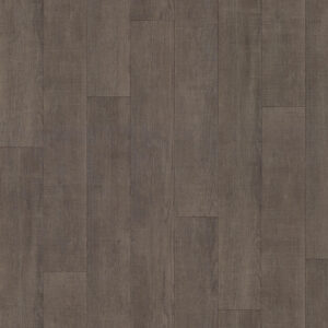 Shaw Chisholm Kansas SA612-00512