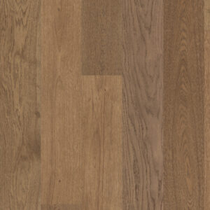 Shaw Hardwood Utmost Intent SW753-17048